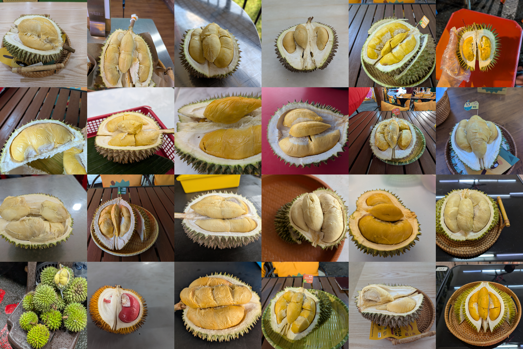 56品種】ドリアンの品種とおすすめ紹介