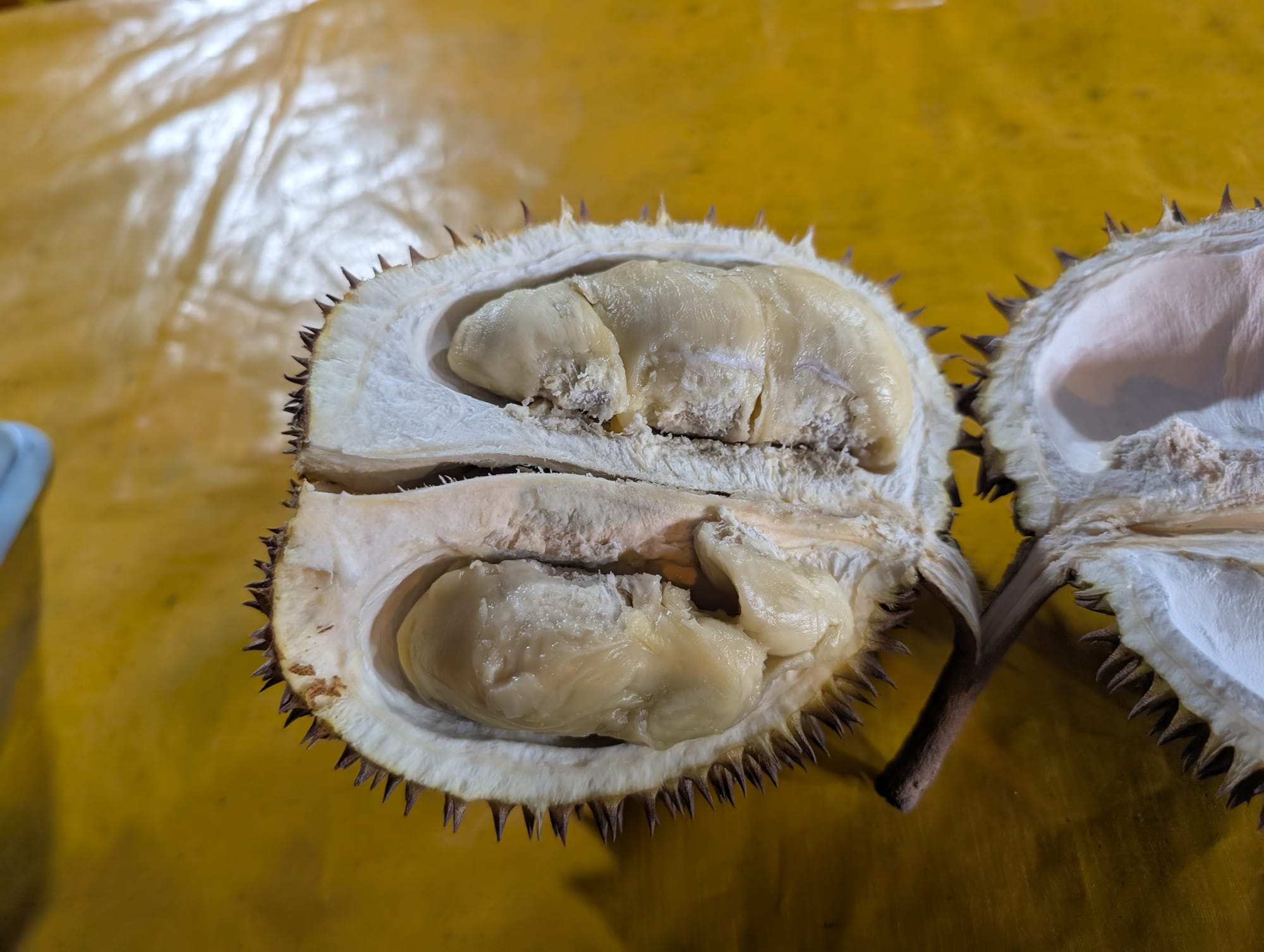 D7 ドリアンを食す@コタキナバル