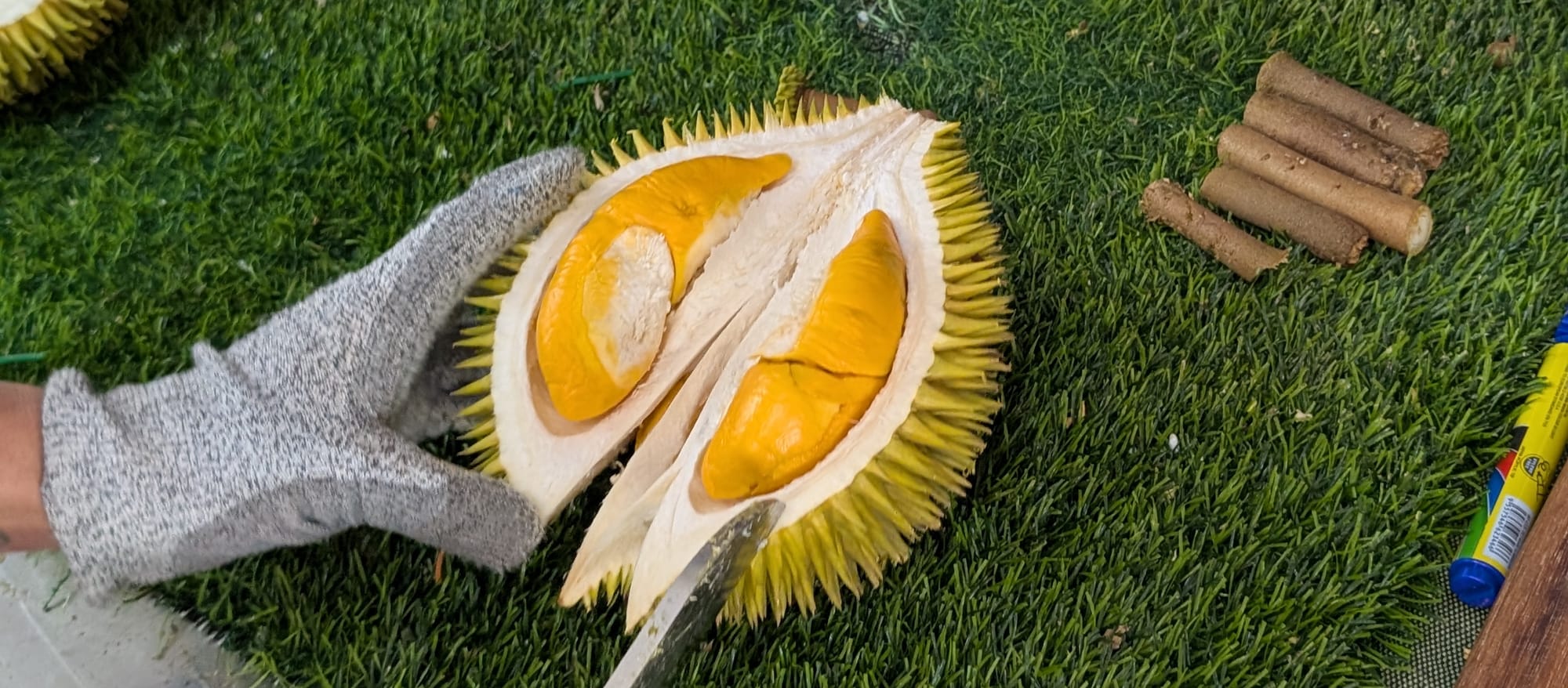 野生種×商用種のハイブリッドドリアン スルックキングを味わう@クチン