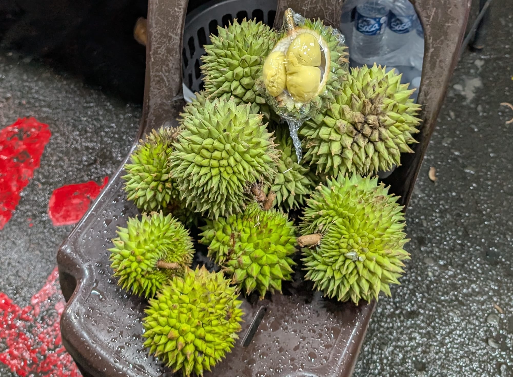 野生種ドリアン Durio oxleyanusを味わう@コタキナバル