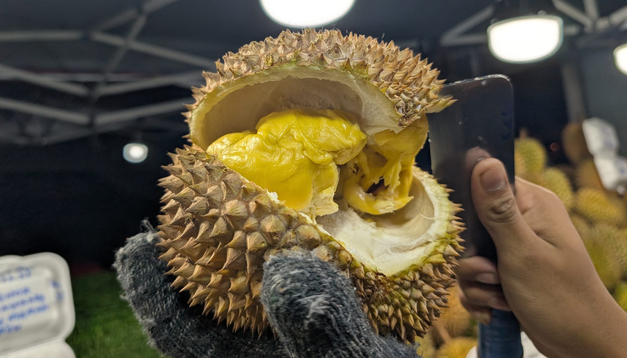 マス パハン ドリアンを味わう@コタキナバル