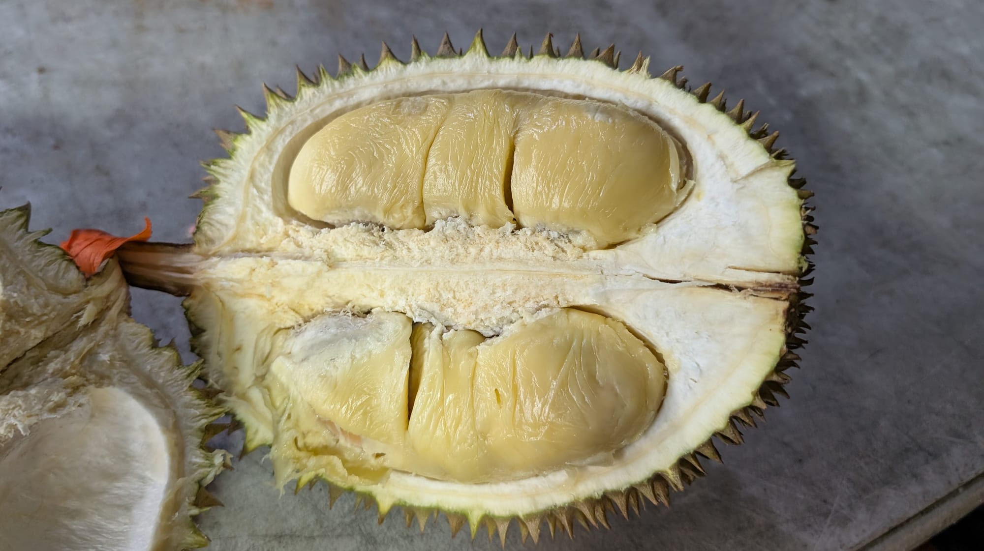 ダイナソー ドリアンを味わう@コタキナバル