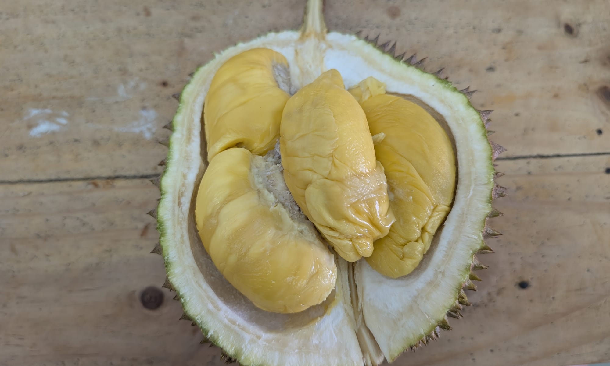 新年初ドリアン 猫山王がまさかの虫食い@コタキナバル