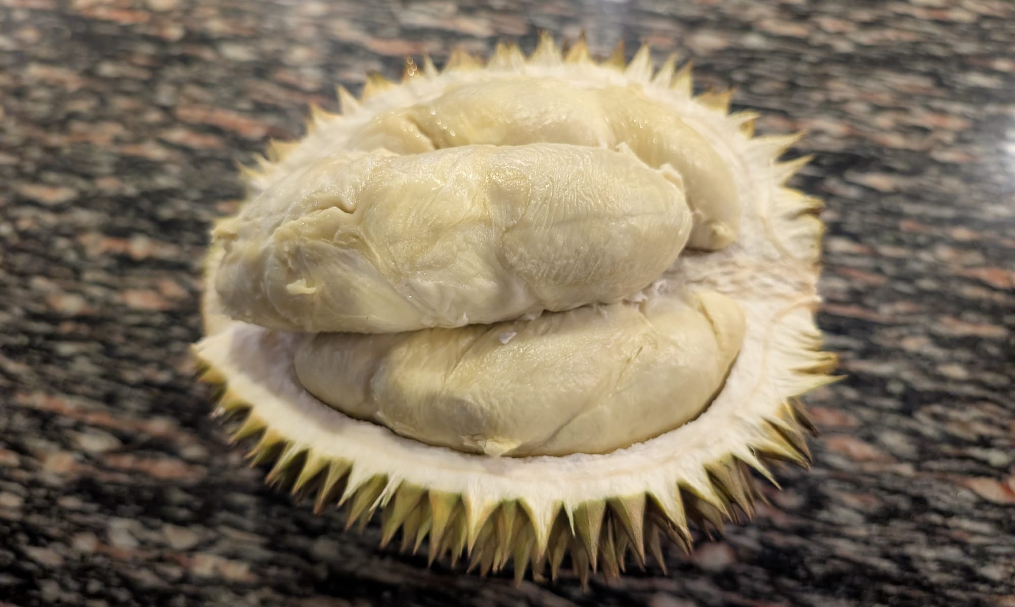 ムンテガ ドリアンを味わう@バリ島