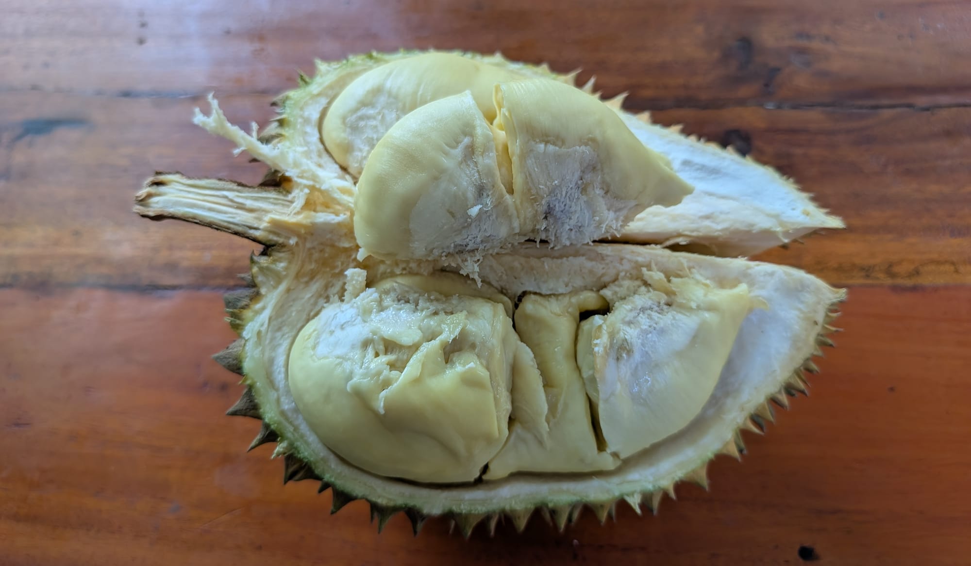 モントーン ドリアンを味う@ジョグジャカルタ