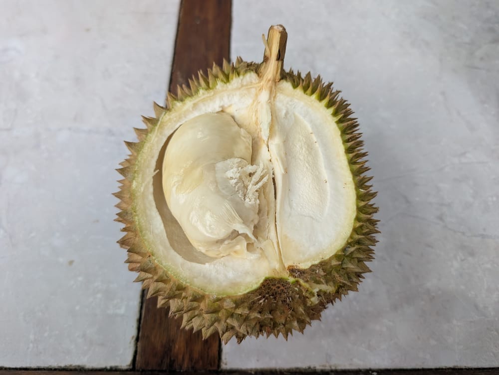 カリゲシン産ローカル ドリアンを味わう@ジョグジャカルタ