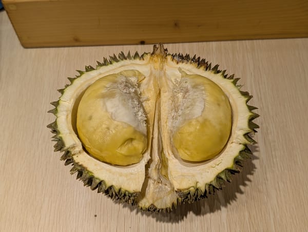 完熟型ガンヤオを食す@コタキナバル