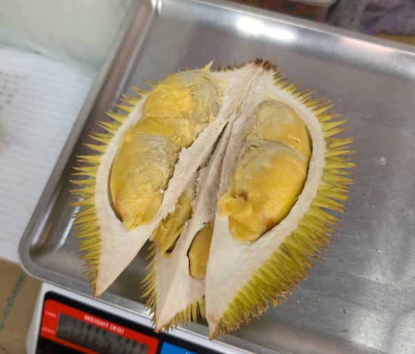 野生種ドリアン Durio Graveolensを食す@コタキナバル