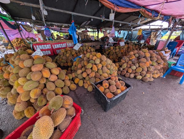 ドリアンを探して市場巡り@クチン