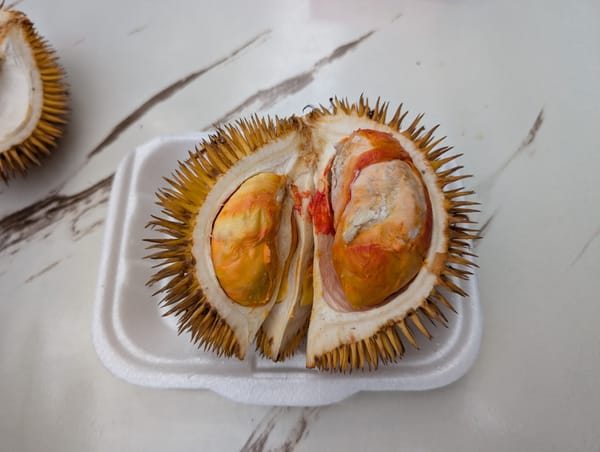 野生種ドリアン Durio graveolens オレンジ × 赤色ハイブリッドを味わう@コタキナバル