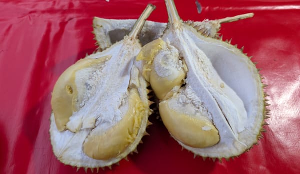 ゴールドフィッシュ ドリアンを味わう@コタキナバル