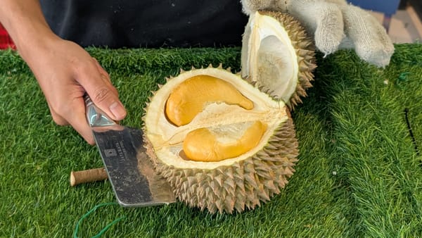 インドネシア産 ブラックソーン ドリアンを味わう@メダン