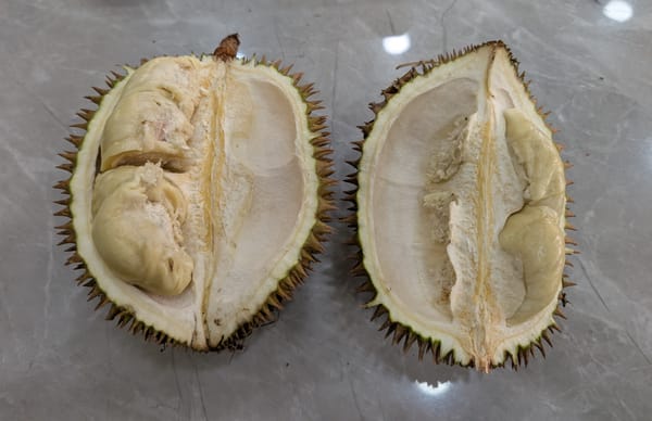 メダン産ドリアンを味わう@メダン