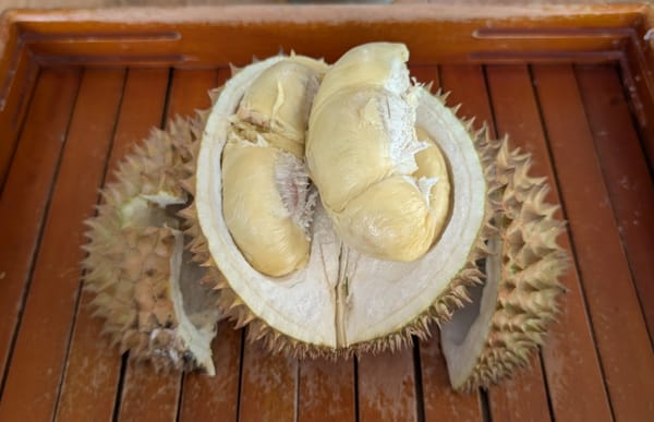 バリ産ローカルドリアンを味わう@バリ島