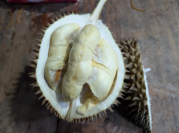 ジョグジャカルタ産ローカル ドリアンを味わう@ジョグジャカルタ